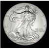 Image 1 : 1999 American Silver Eagle