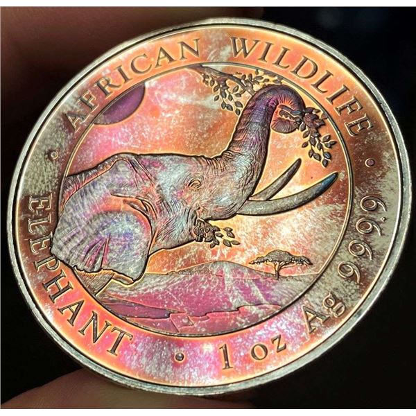 2023 Somali Republic 100 Shillings "African Wildlife" Proof 1 ozt .9999 Silver