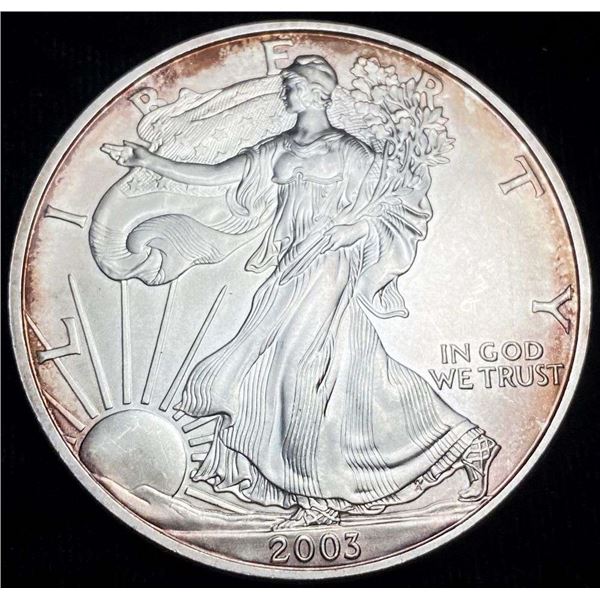 2003 American Silver Eagle