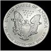 Image 2 : 1991 American Silver Eagle