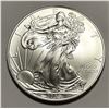Image 1 : 2009 American Silver Eagle