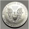 Image 2 : 2009 American Silver Eagle