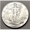 Image 1 : 1991 American Silver Eagle