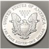 Image 2 : 1991 American Silver Eagle