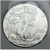 Image 1 : 2002 American Silver Eagle NGC MS69