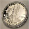 Image 3 : 2021-W Proof American Silver Eagle