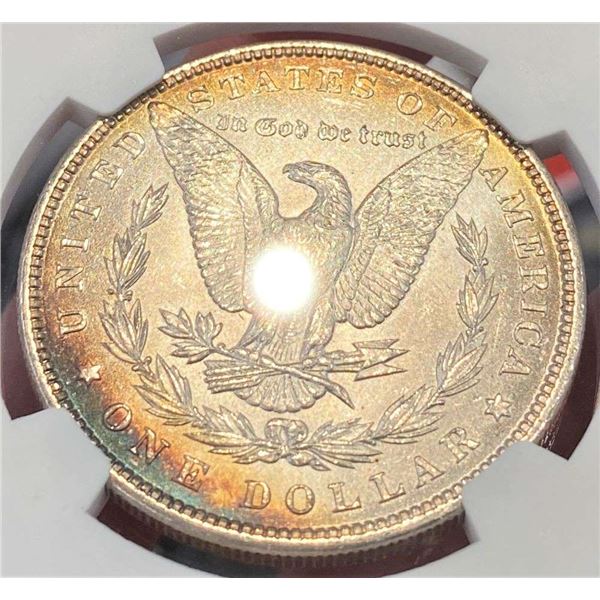 Monster Color 1896 Morgan Silver Dollar NGC MS63