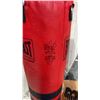 Image 3 : PUNCHING BAG AND SPARRING GEAR