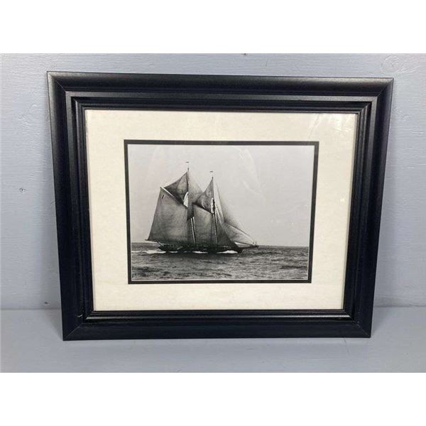 MacAskell Framed Photo "Blue Nose"