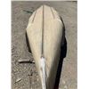 Image 7 : Sportspal 14' Canoe