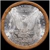 Image 3 : ***Auction Highlight*** 1879 & CC Uncirculated Morgan Dollar Shotgun Roll (fc)