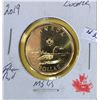 Image 1 : 2019 LOONIE FROM ROLL MS-65 LOOK CLOSELY AT COIN