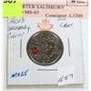 Image 1 : 2015 QUARTER SALISBURY COLORED MS-65