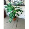Image 2 : Artificial plant
