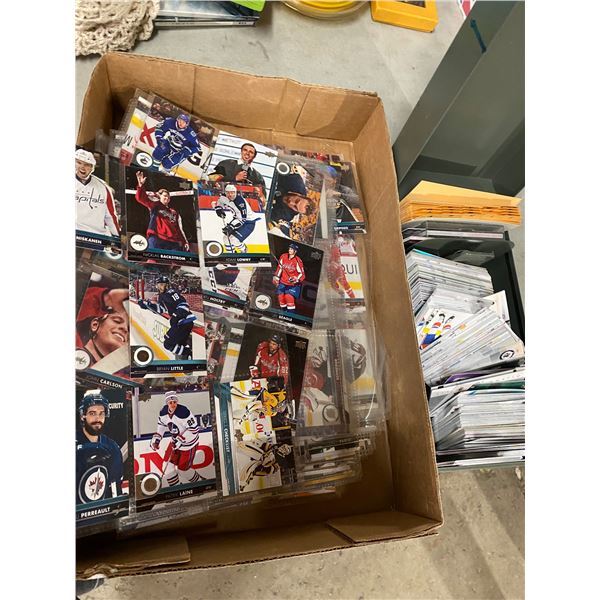 Hockey cards