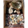 Image 1 : Shells and stones