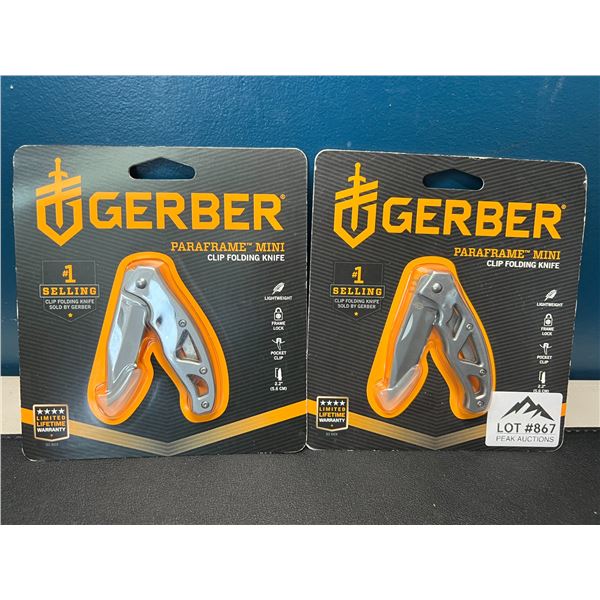 Lot of 2 Gerber Paraframe Mini Clip Folding Knives