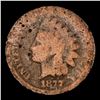 Image 2 : 1877 Indian Cent 1c Graded g4 By SEGS