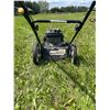 Image 4 : Lawn Mower