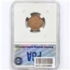 Image 2 : 1925-D Wheat Cent PGA MS65 RB