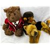 Image 2 : Stuffed Animal Lot