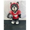 Image 1 : Stampeders Football Gameday Bear