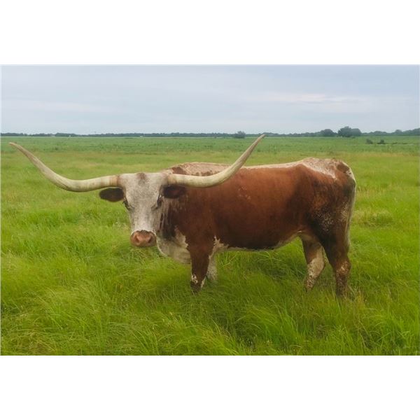 PCC STRAWBERRY SWIRL