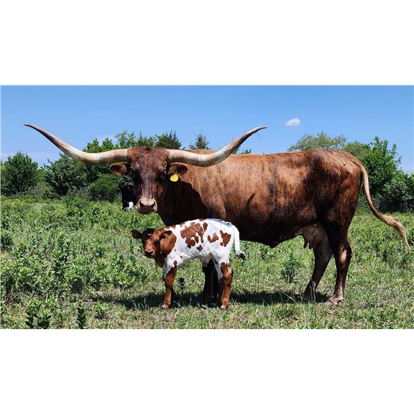 BRINDLE ROULETTE HCL