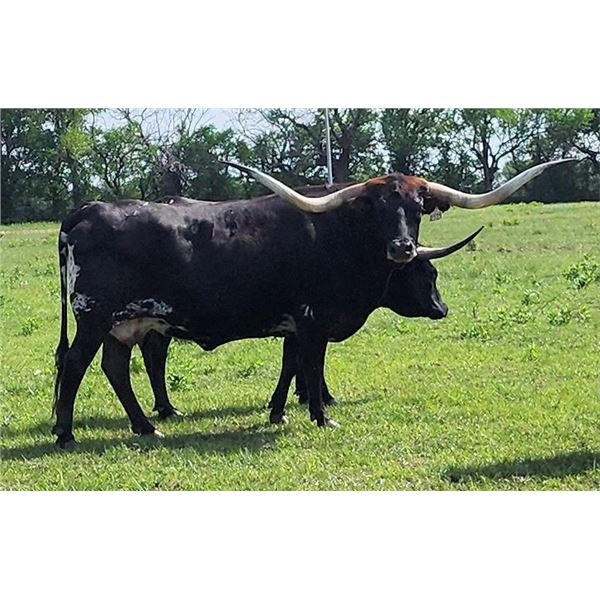 RENE'S CHERRY EOT 515