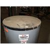 Image 3 : (S14) Rheem RUUD Commercial Storage Tank