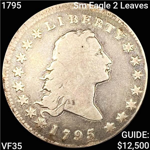 1795 Sm Eagle 2 Leaves Flowing Hair Dollar NEARLY