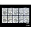 Image 1 : (10) 2020-P American Silver Eagle ICG MS70