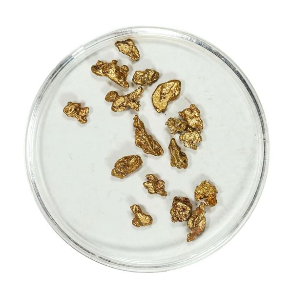 Gold Nuggets 3.11 Grams Total Weight