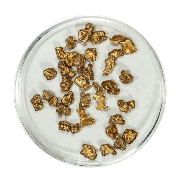 Gold Nuggets 4.91 Grams Total Weight