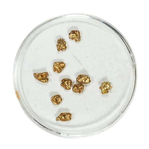 Gold Nuggets 1.82 Grams Total Weight