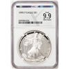 Image 1 : 1995-P $1 Proof American Silver Eagle Coin NGCX Proof 9.9 Ultra Cameo