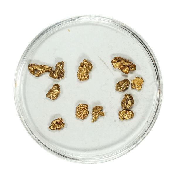 Gold Nuggets 2.42 Grams Total Weight