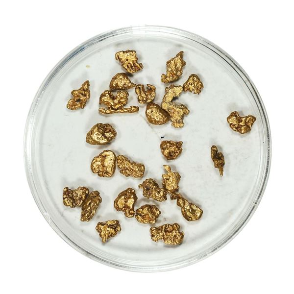 Gold Nuggets 4.09 Grams Total Weight