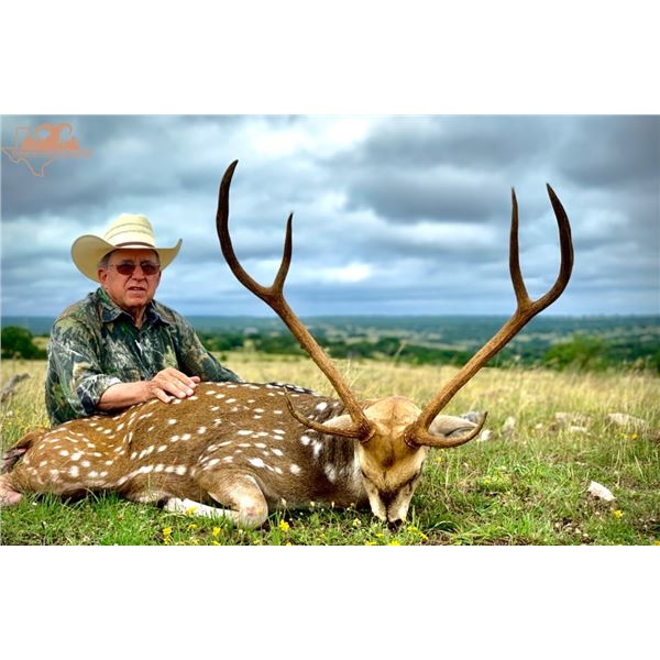 free range axis hunts in Texas<br>