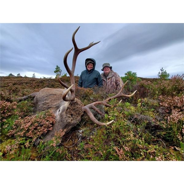 Scotland Red Stag Hunt
