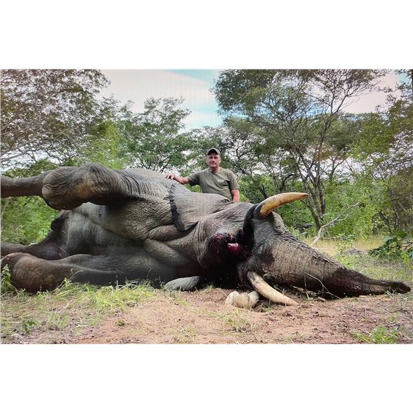 Bull Elephant Hunt with Nhoro Safaris
