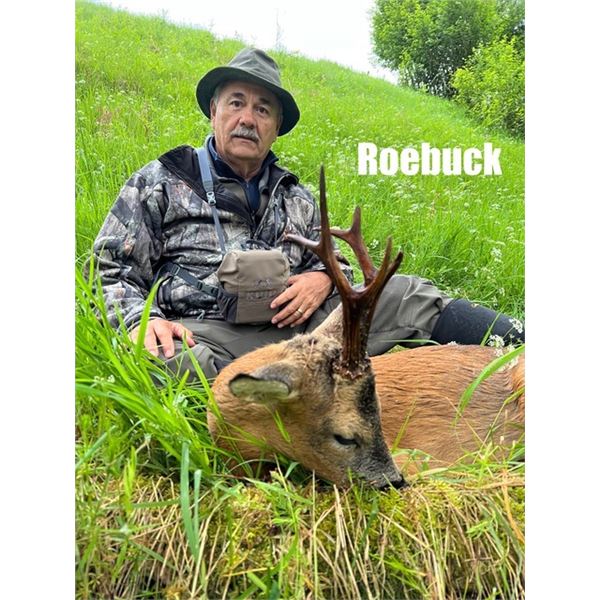 Scotland Spring Roe Deer Hunt