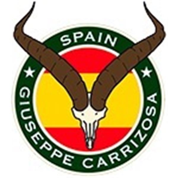 Red Deer Stag Hunt in Spain
