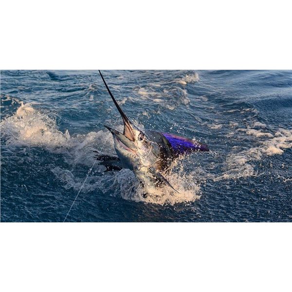 4 day, 3 nights Costa Rica Condo Vacation for 5 people includes one day of Fishing.
