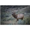 Image 3 : 3-Day Elk Hunt - Venator USA