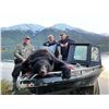 Image 3 : Coastal Black Bear Hunt - Milligan Outfitting