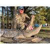 Image 3 : Alligator Hunt in Punta Gorda, FL