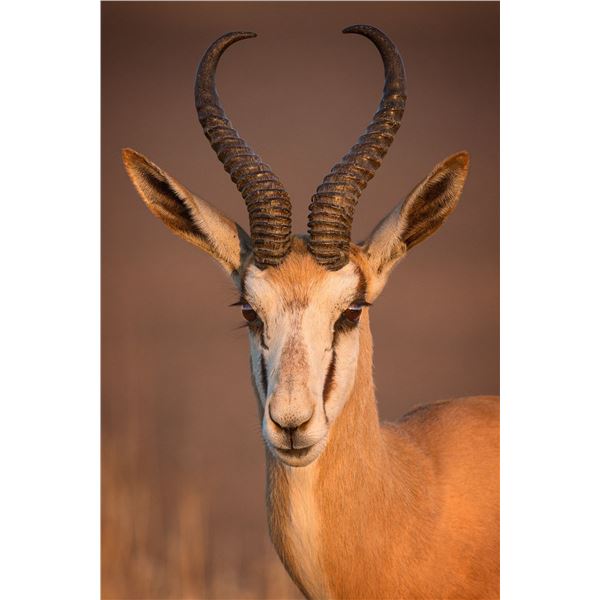 Victoria Falls Safari & Plains Game Safari - Jannie Otto Safaris