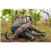 Image 1 : 10-Day Buffalo Hunt - Adam Clements Safaris