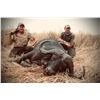 Image 3 : 10-Day Buffalo Hunt - Adam Clements Safaris